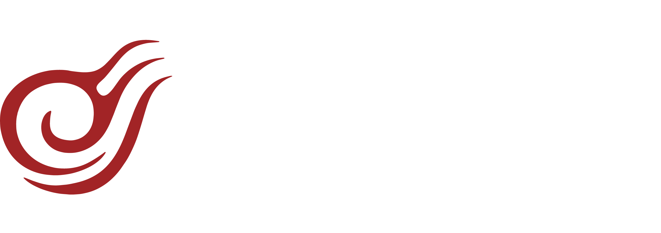 Logo - Suretek Infosoft