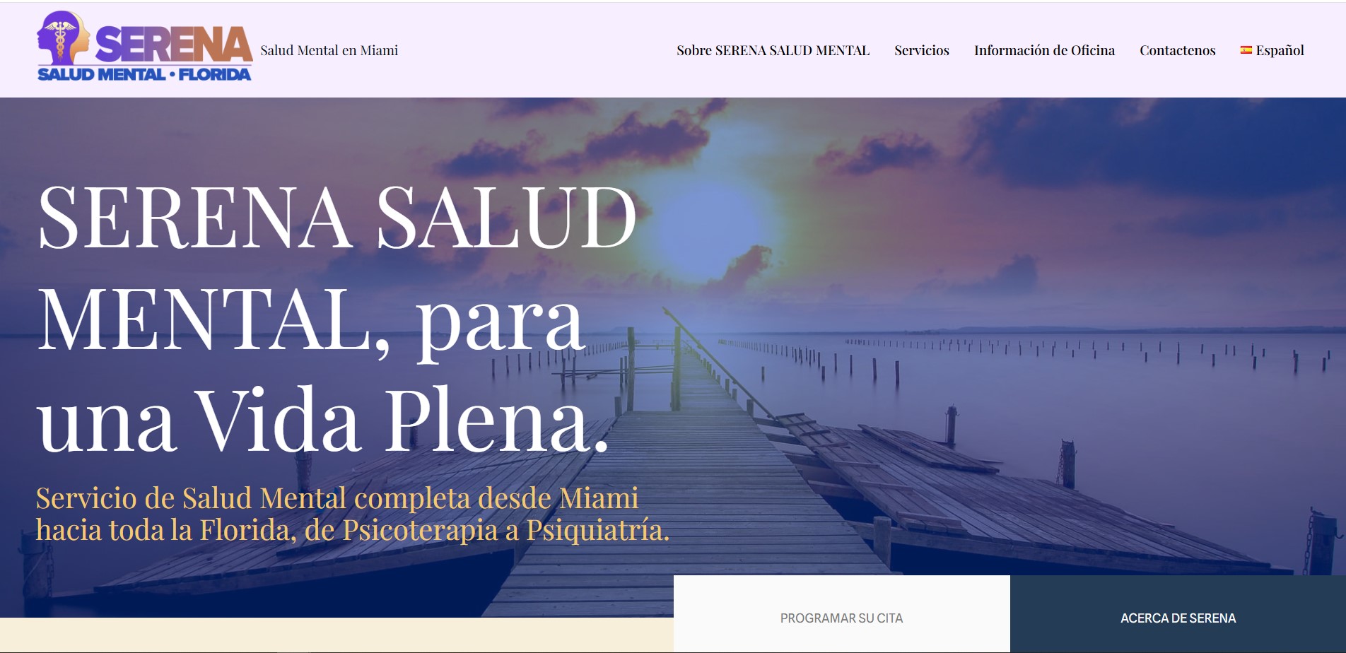 Web Design Sample 16