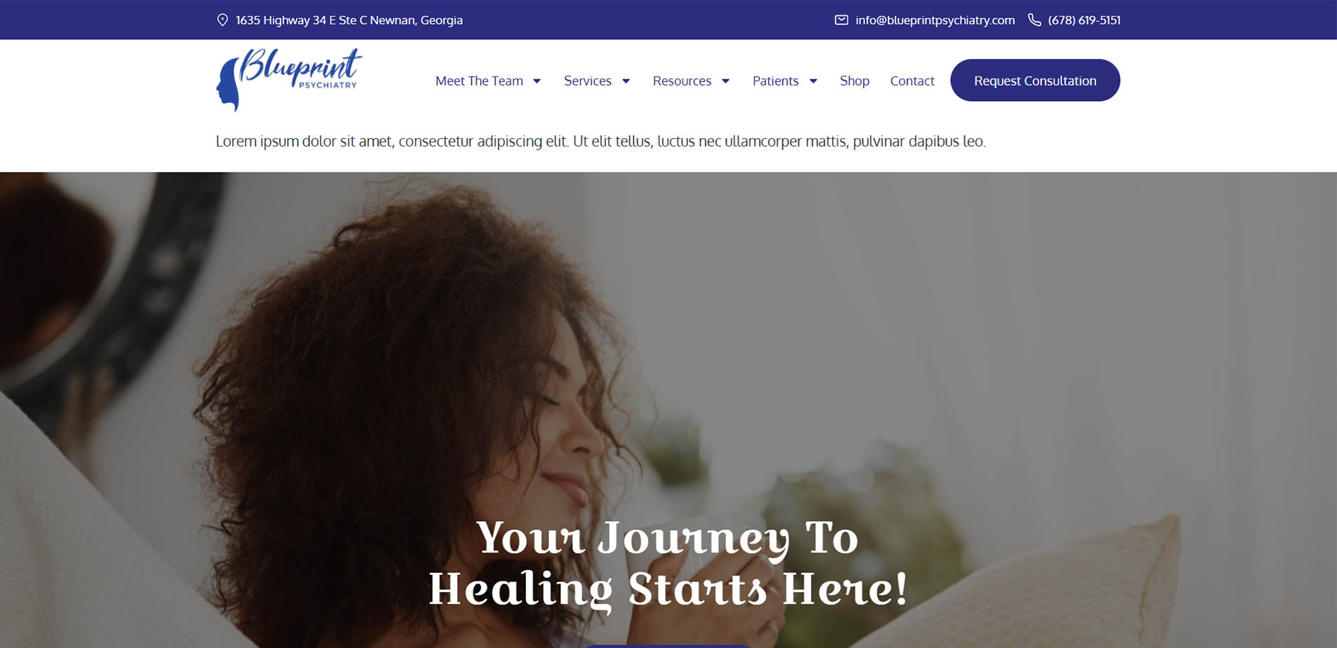 Web Design Sample 43